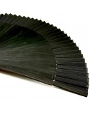 Ventaglio Corlù 1979