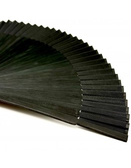 Ventaglio Corlù 1979