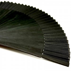 Ventaglio Corlù 1979